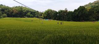 Ella Nature Park Hostel - 2