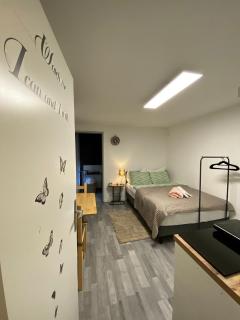 St Georgen im Attergau ein Zimmer Wohnung - 2