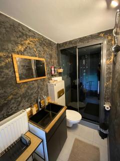 St Georgen im Attergau ein Zimmer Wohnung - 5