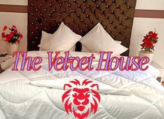 THE velvet HOUSE - 8