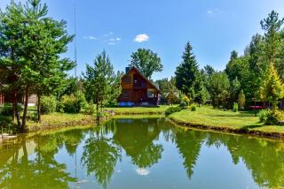 Stirnelės viensėdis - 1