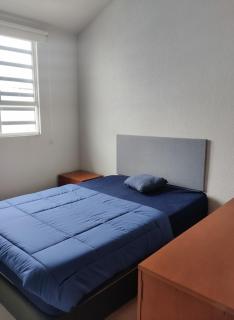 Cozy House with Private Garden in Pachuca - Pachuca de Soto - 6