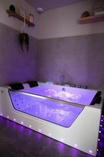 Maison MUGUET 2 SPA-PARKING-COLMAR - 3