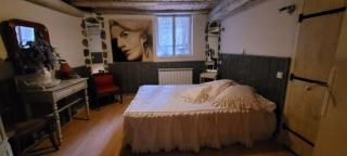 Gite Bellevue de charme avec cheminée et bois à disposition - 9