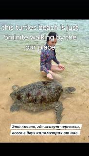 SEASHORE Resort & Villa - 6