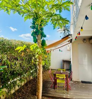 Nouméa F2 jardin et clim, proche plages - 8