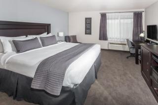Baymont by Wyndham Glenview - Glenview - 7