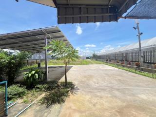 ทองอุไรโฮมสเตย์ ณ แม่สาย - 5