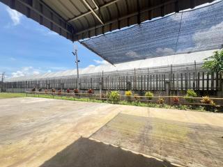 ทองอุไรโฮมสเตย์ ณ แม่สาย - 4