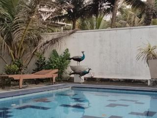 Villa Sea Sprays - 5