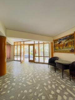 White Apricot Lodge - 8