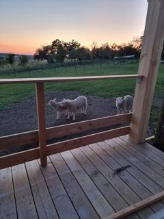 Le bêêêl endroit - 1