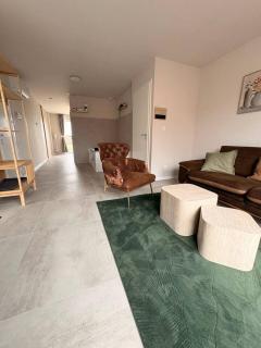 Maison MUGUET 3 SPA-PARKING-COLMAR - 5