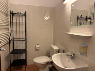 Guesthouse Cetate - 3