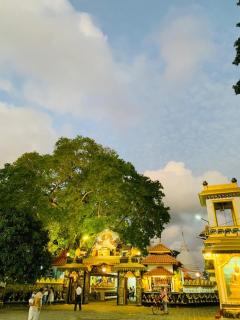 Westrom Villa Ocean Front - 7