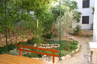 Apartments by the sea Mandre, Pag - 6416 - 1