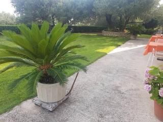 Apartments with parking space Makarska - 6768 - 1