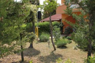 Apartments with parking space Petrcane, Zadar - 3300 - Petrcane - 1