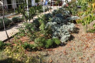 Apartments with a parking space Valbandon, Fazana - 7228 - 1