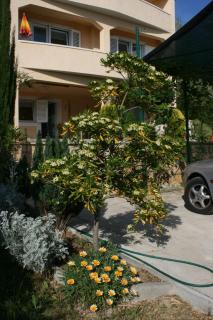 Apartments by the sea Rtina - Miocici, Zadar - 6210 - 1