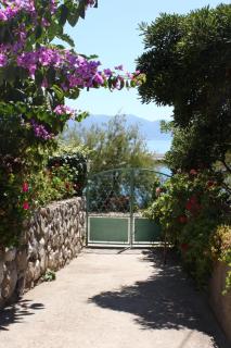 Rooms by the sea Sucuraj - Hvar - 6734 - 1