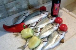 Apartments by the sea Duce, Omis - 8378 - Dugi Rat - 1