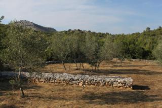 Secluded holiday house Cove Jaz - Telascica, Dugi otok - 8176 - Sali - 1