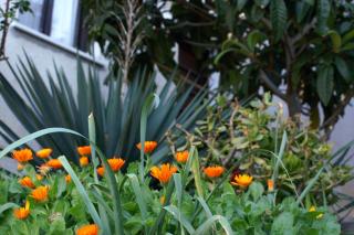 Apartments by the sea Zavalatica, Korcula - 189 - Zavalatica - 1