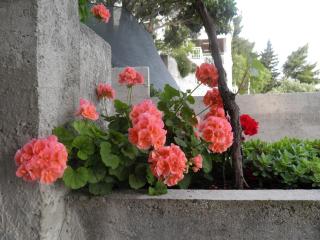 Apartments with parking space Brela, Makarska - 11687 - 2