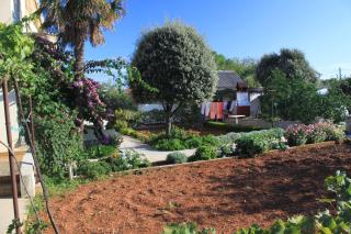 Apartments by the sea Ugljan - 348 - 1