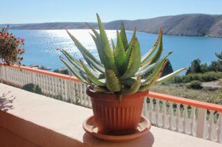 Apartment Vlasici 9324b - 1