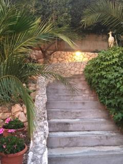 Apartments by the sea Primosten - 15704 - Primošten - 1