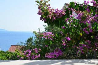 Apartments with a parking space Mavarstica, Ciovo - 16215 - 2