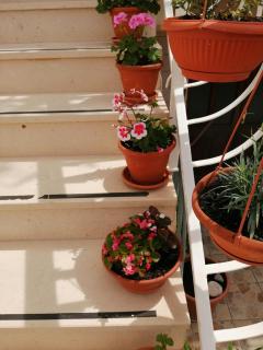 Apartments with parking space Vis - 2476 - 1