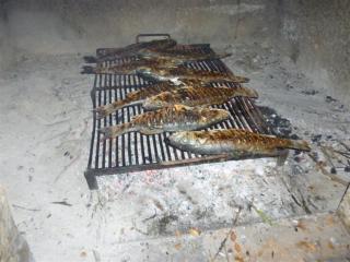 Apartments by the sea Necujam, Solta - 13726 - 2