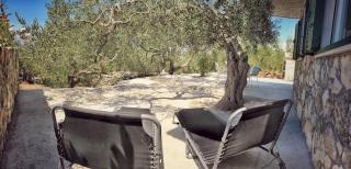 Secluded holiday house Povlja, Brac - 14500 - 2