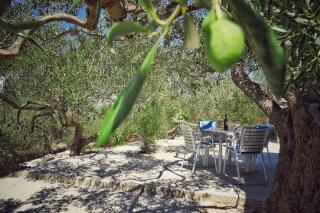 Secluded holiday house Povlja, Brac - 14500 - 1