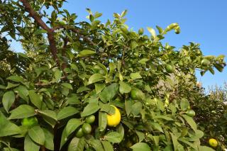 Apartment Mavarstica 16215b - 1