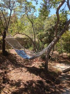 Apartments by the sea Maslinica, Solta - 772 - 3