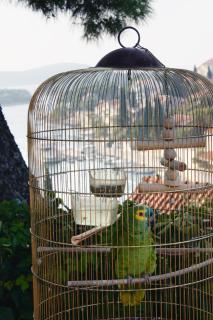 Apartments by the sea Maslinica, Solta - 772 - 1