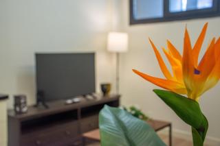 Stylish & Modern 1 Bdr Taksim Palas Living - 4