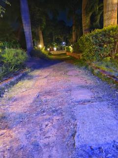 Plumeria Resort - Kushālnagar - 6