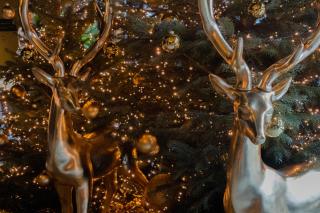 Hôtel LÉONOR the place to live - 8