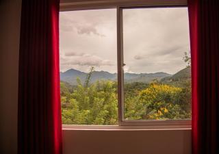 Scenic View - Ella - 6