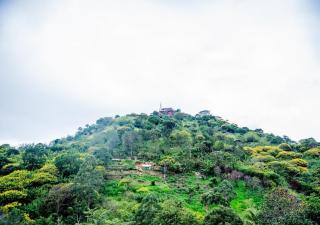 Scenic View - Ella - 5