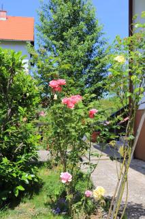 Rooms with a parking space Grabovac, Plitvice - 17419 - 3