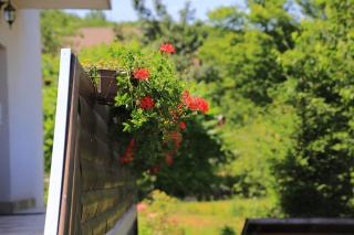 Rooms with a parking space Grabovac, Plitvice - 17419 - 2