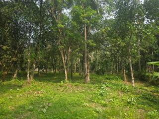 The Kadu - Tāzhekkod - 4