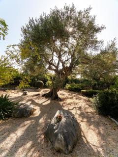 Holiday house with a swimming pool Lun, Pag - 18321 - 1