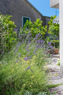 Apartments with parking space Kastel Stari, Kastela - 20999 - 1